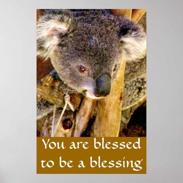 Pôster Urso Koala & Mensagem_ (Frente)