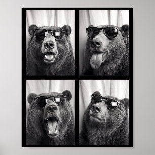 Poster Urso Legal Com Óculos De Sol Photobooth Divertido