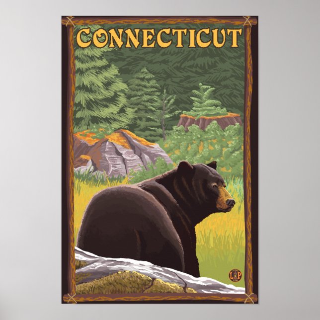 Poster Urso Negro de Connecticut na Floresta (Frente)