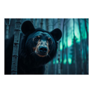 Pôster Urso Negro e Arte Aurora