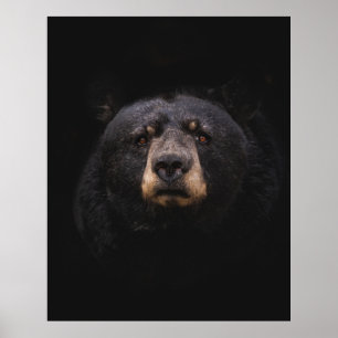 POSTER URSO NEGRO NA BANCADA DE ÁRVORE DE MADEIRA MARCADA