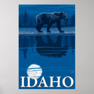 Poster Urso no luar - Idaho