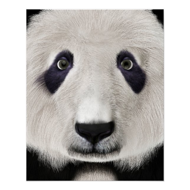 Pôster Urso Panda (Frente)