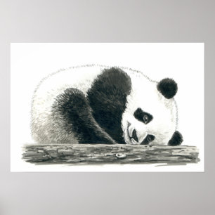 Poster Urso Panda