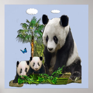 Poster Urso panda e filhotes