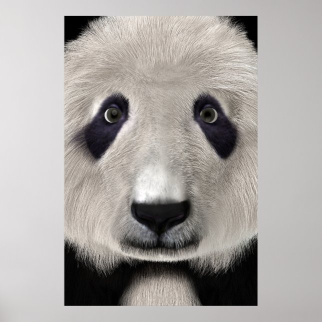 Poster Urso Panda Fofo Presente Perfeito para Amantes de  (Frente)