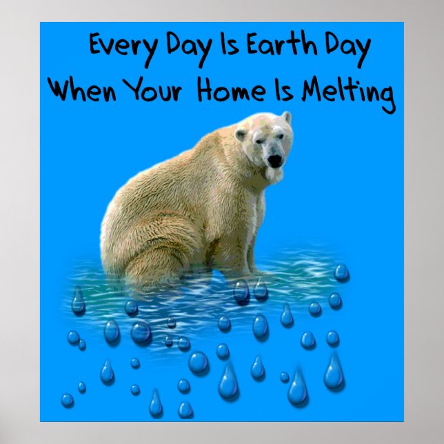 Pôster Urso Polar (Frente)