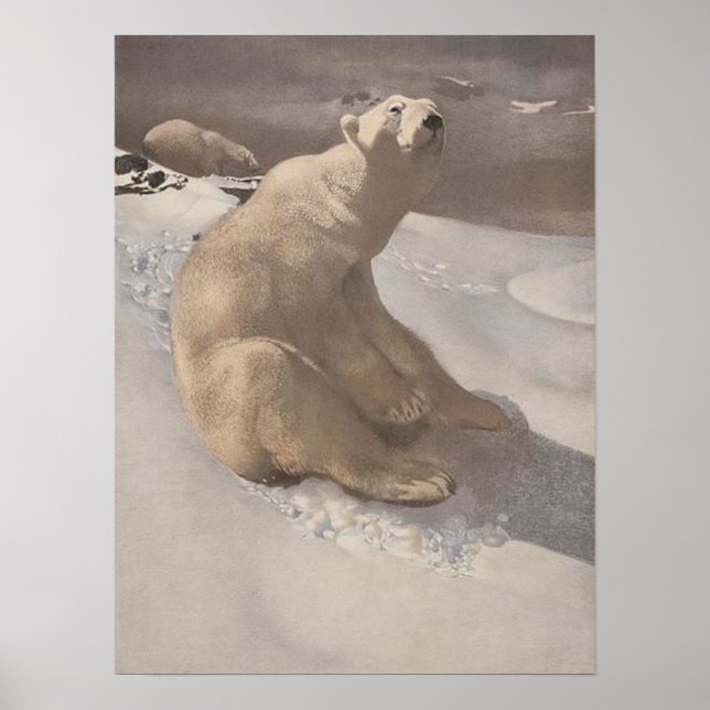 Poster Urso polar a saltar na ilustração da colheita de n (Frente)
