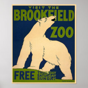 Poster Urso Polar Brookfield