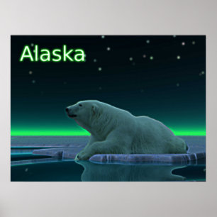 Poster Urso polar da borda do gelo