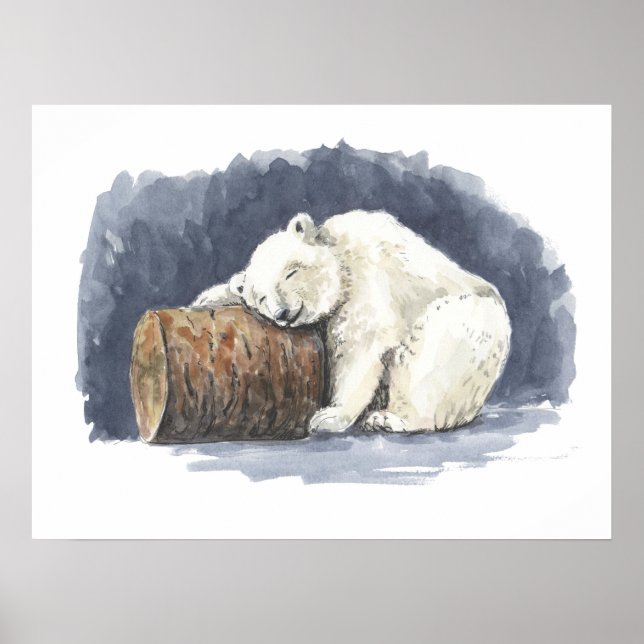 Poster Urso polar dormindo, arte aquarela (Frente)