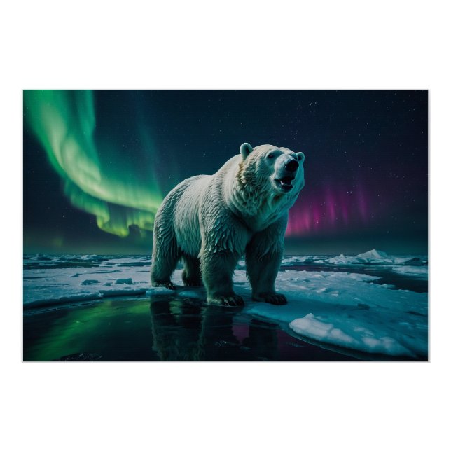 Pôster Urso Polar e Arte Aurora (Frente)