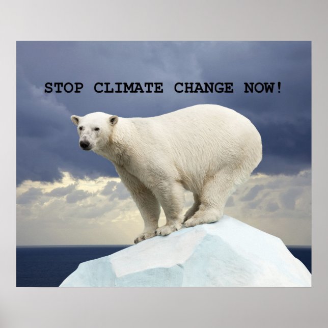 Poster Urso Polar Parem Com As Alterações Climáticas Agor (Frente)