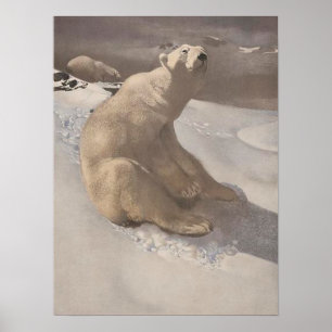 Poster Urso polar que vomita na ilustração da neve