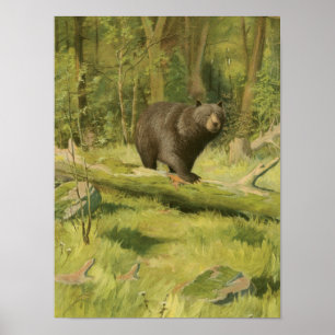 Poster Urso Preto a Passar num Tronco de Árvore