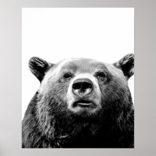 Pôster Urso preto e branco animal da floresta esconde-esc