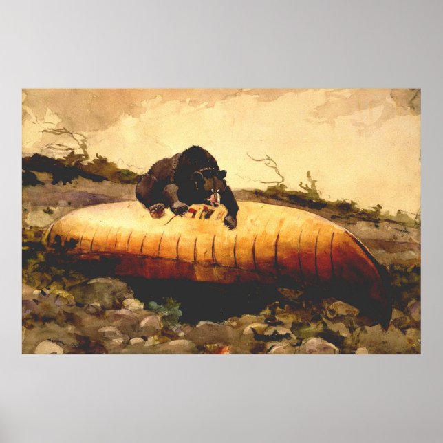 Poster Urso Vintage e Canoa Winslow Homer 1895 (Frente)