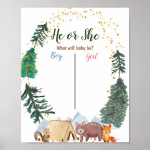 Urso Woodland Conselho