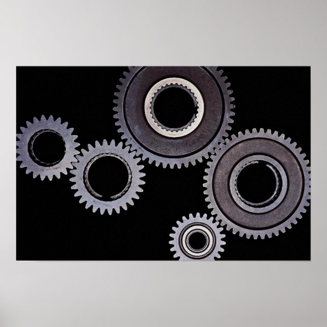 Pôster Ursos (Frente)