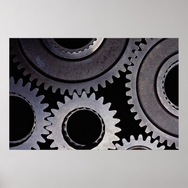 Poster Ursos (Frente)