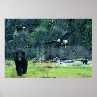 Poster Ursos, Águias, Herões, Ravens, Lobos, Arte Selvage