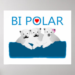 Poster Ursos polares do Bi
