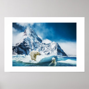 Poster Ursos poster-Polares