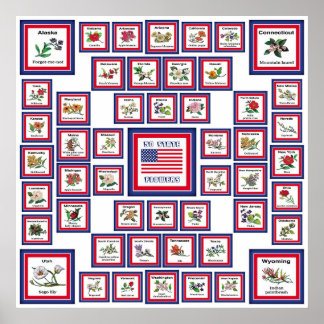 POSTER US 50 STATE FLOWERS WHITE/559