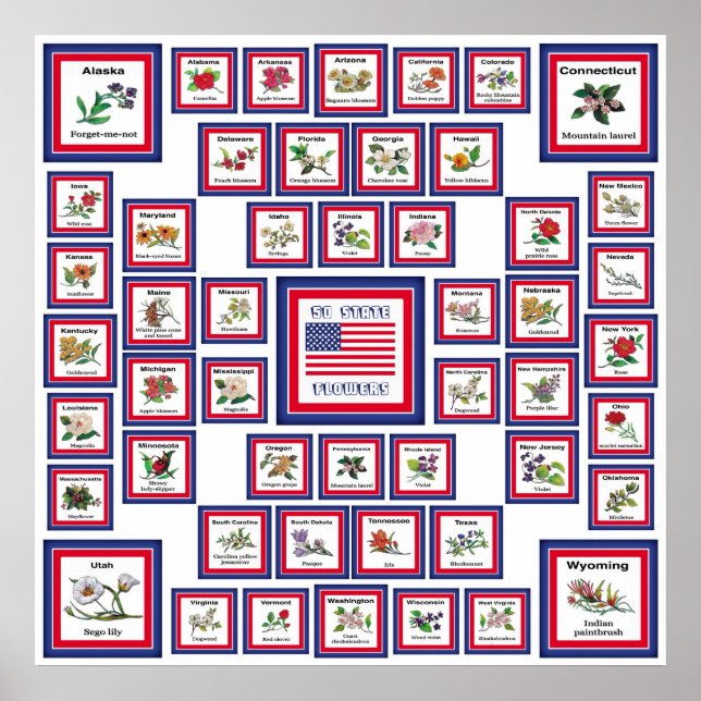 POSTER US 50 STATE FLOWERS WHITE/559 (Frente)