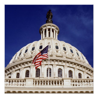 Pôster US Capital Building, Washington DC