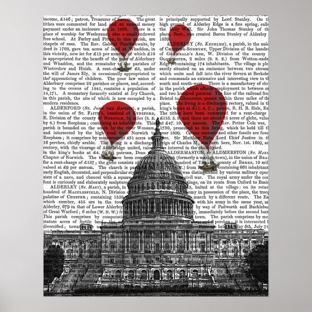 Poster US Capitólio Building and Red Hot Air Balloons (Frente)