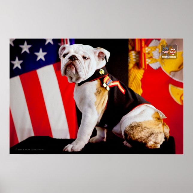 POSTER US MILITARY SERVICE DOG (Frente)