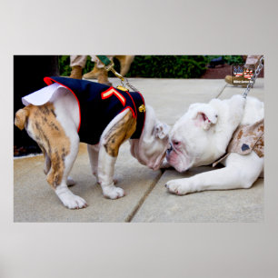 POSTER US MILITARY SERVICE DOG