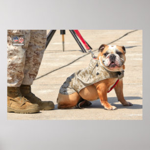 POSTER US MILITARY SERVICE DOG