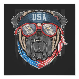 Pôster USA Buldogue