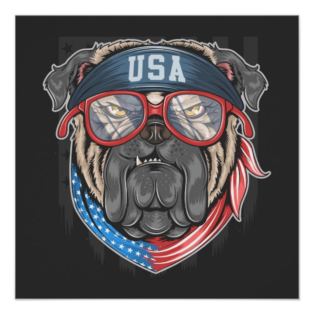 Pôster USA Buldogue (Frente)