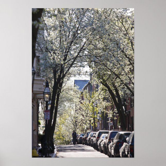 Poster USA, Massachusetts, Boston, Beacon Hill. (Frente)