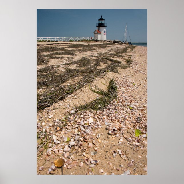 Poster USA, Massachusetts, Nantucket. Shell (Frente)