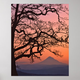 Pôster USA, Oregon, Columbia River Gorge National 2