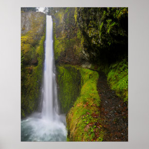 Poster USA, Oregon. Top To Bottom View Of 130 Ft
