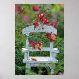 Pôster USA, Pennsylvania. Columbine flowers and chair