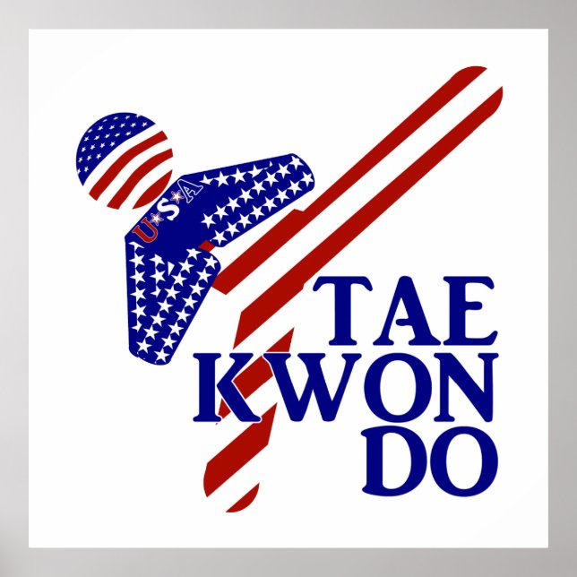 Pôster USA Taekwondo Kick (1) (Frente)