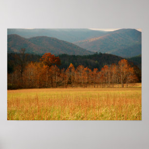 Poster USA, Tennessee. Cades Cove In Smoky Mountain