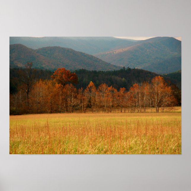 Poster USA, Tennessee. Cades Cove In Smoky Mountain (Frente)