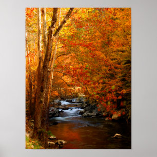 Pôster USA, Tennessee. Rushing Mountain Creek 2