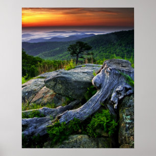 Pôster USA, Virginia, Shenandoah National Park.
