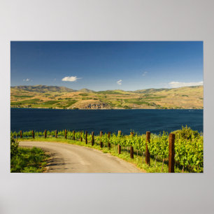 Pôster USA, Washington, Lake Chelan. Vineyard