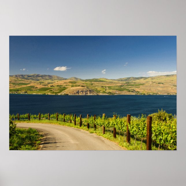 Pôster USA, Washington, Lake Chelan. Vineyard (Frente)