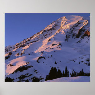 Poster USA, Washington, Mt. Rainier National Park
