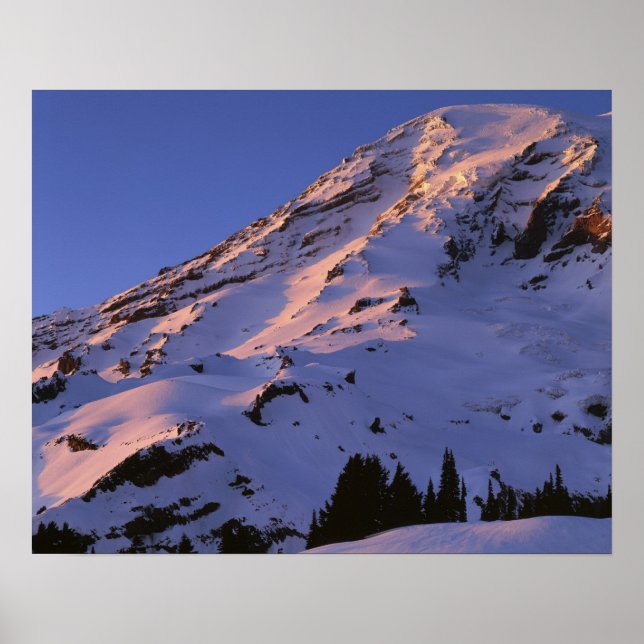 Poster USA, Washington, Mt. Rainier National Park (Frente)